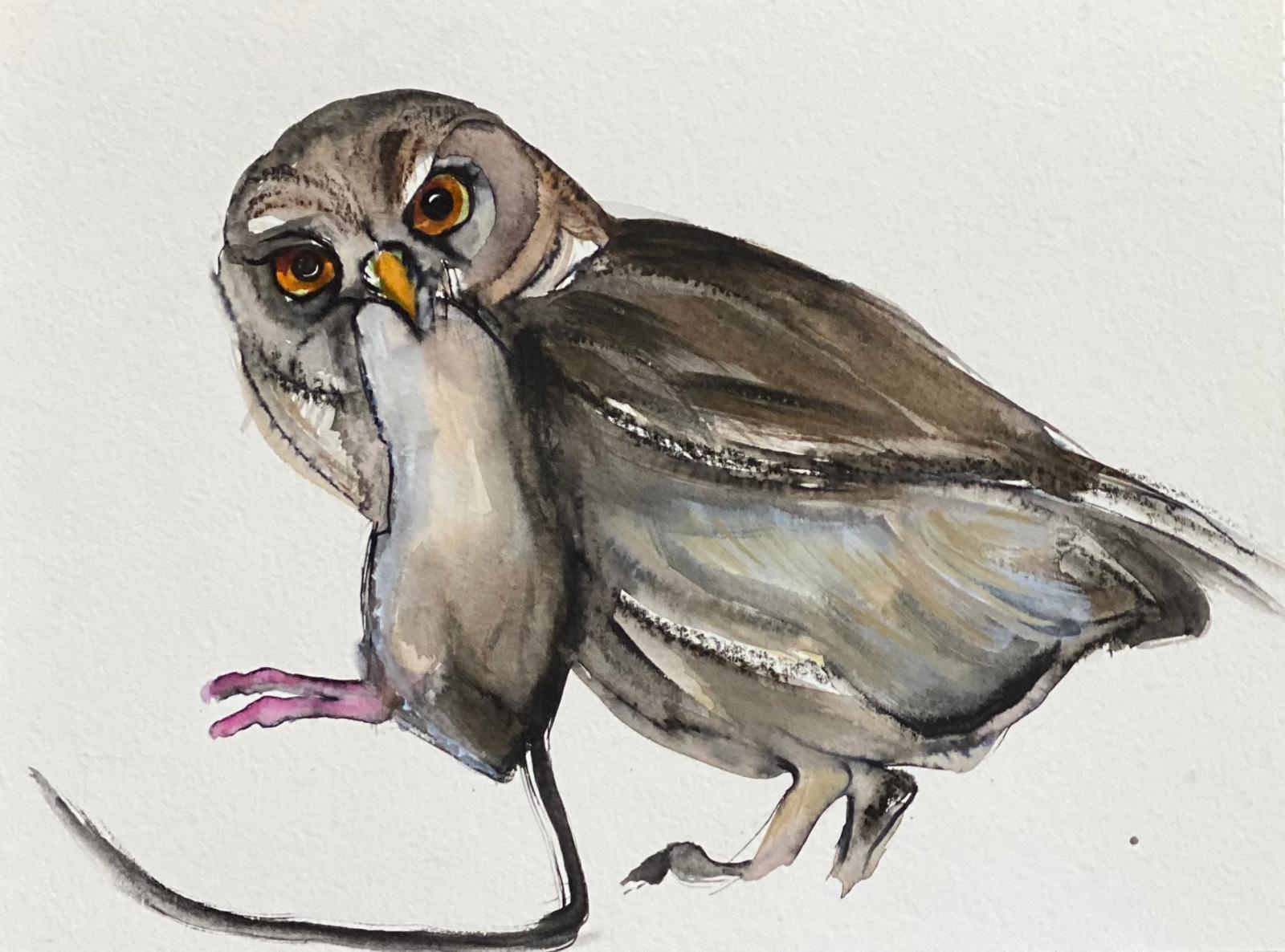 Whatsapp image 2025 06 10 at 19.28.41 5