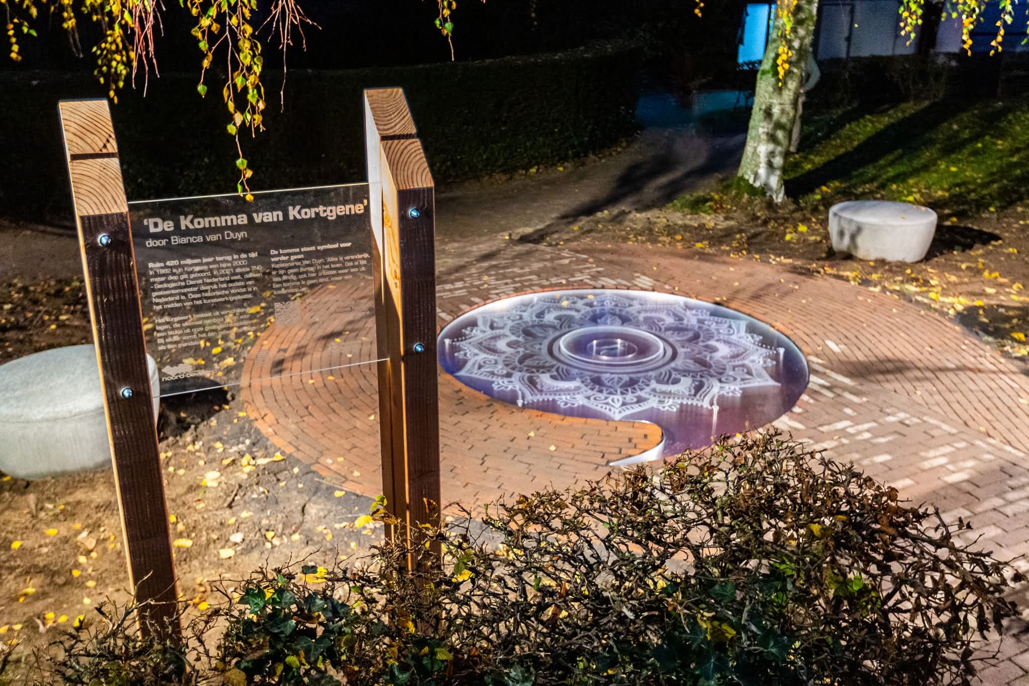 WhatsApp Image 2025-06-30 at 13.25.29-3 Bianca van Duyn