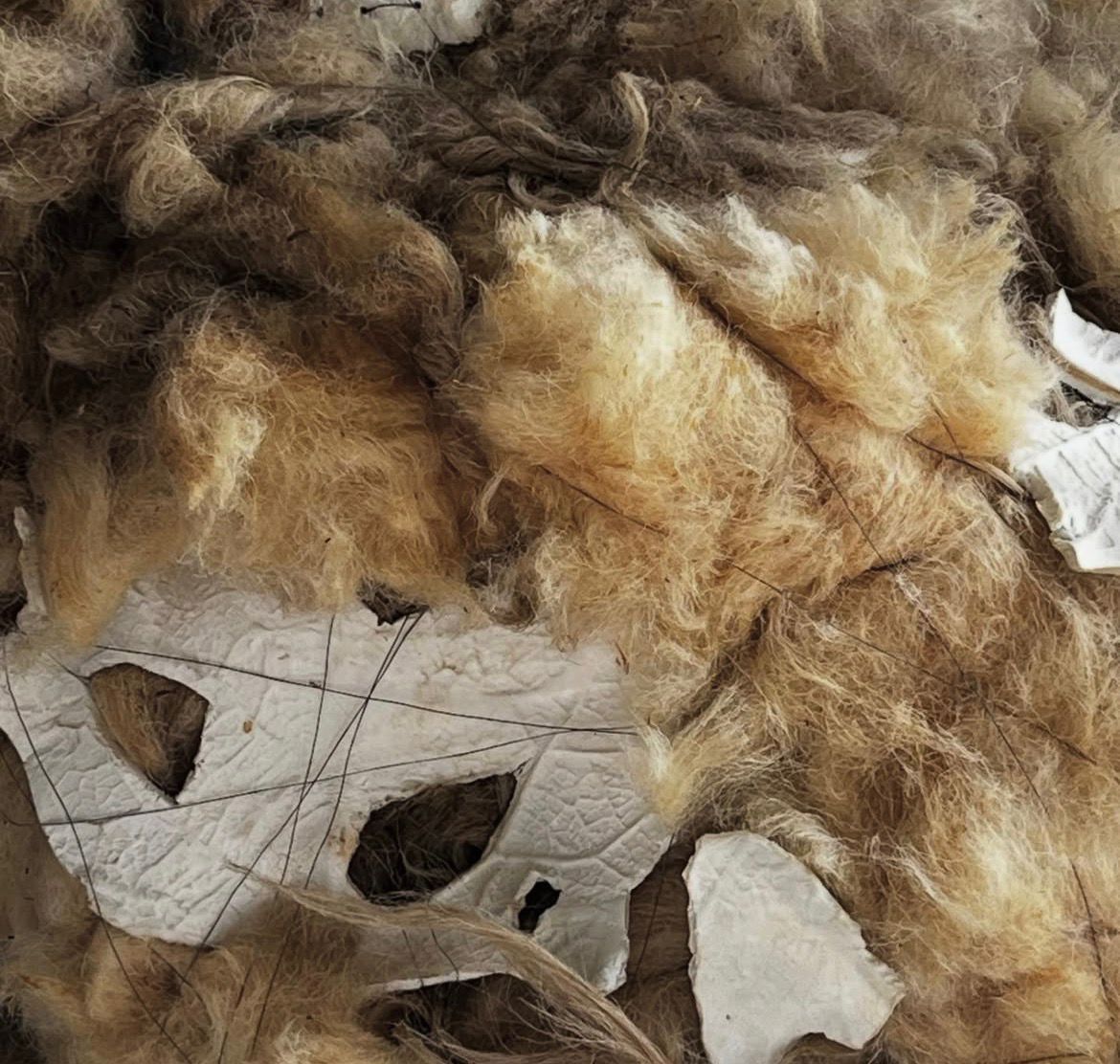 70fcec2e 30ca 489f 9bc6 24a8da3c9132