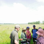 1 jvg 290526 Landschapsontwerp