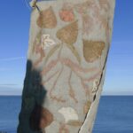 BiancaPlune 1